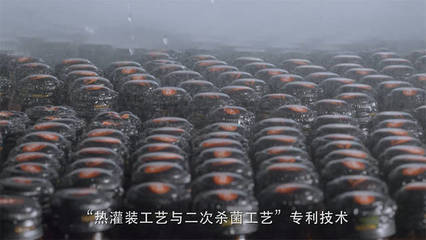 央视走进大漠红透明工厂,里面竟让人大吃一惊!